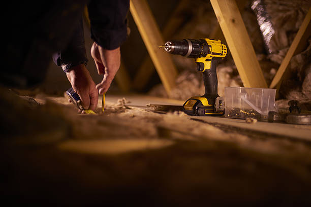 Best Insulation Removal  in Saltville, VA